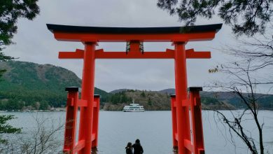 Global Bond Rout Made In Japan?