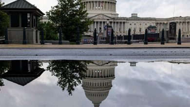A view from DC: A sudden shift in gravity for AI politics