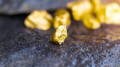 What Is Putting Freeport-McMoRan Stock in Focus? (NYSE:FCX)