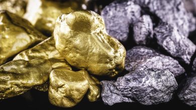 Americas Gold And Silver (TSX:USA) Faces Fresh Mining Market Scrutiny