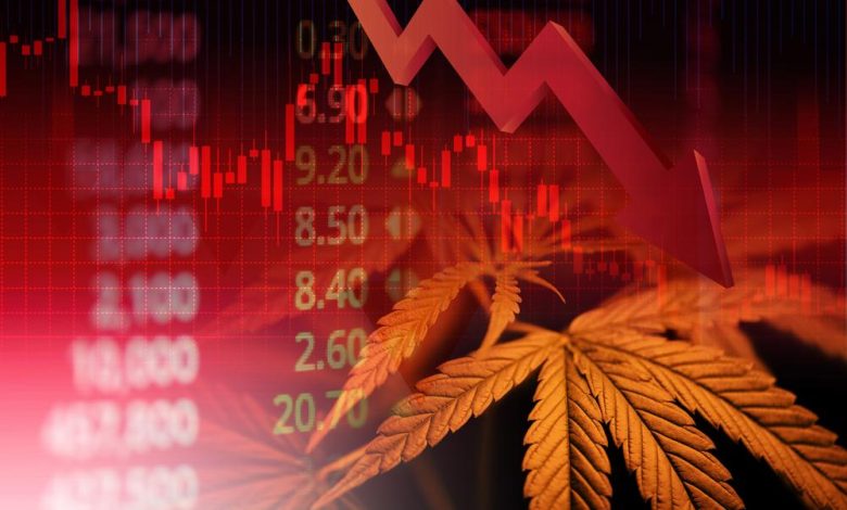 How Is Little Green Pharma Using Europe to Grow (ASX:LGP)? How Is Little Green Pharma Using Europe to Grow (ASX:LGP)?