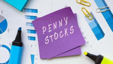 Seegnal (TSXV:SEGN) Becomes A Fresh Focus For Penny Traders