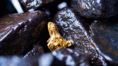 What Is Keeping Ivanhoe Mines (TSX:IVN) in Focus? What Is Keeping Ivanhoe Mines (TSX:IVN) in Focus?