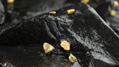 Why Is the Market Watching Greenland Mines (GRML)?