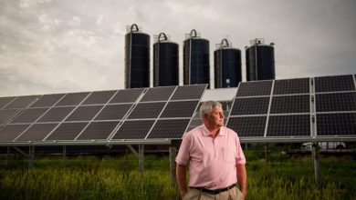 American farmers are hurting — and worried about their futures : NPR American farmers are hurting — and worried about their futures : NPR