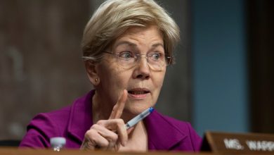 Warren demands Trump officials explain removing a ban on interference in census data Warren demands Trump officials explain removing a ban on interference in census data